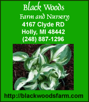 Blackwoods Farms
